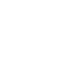 Romolo marchio def BN